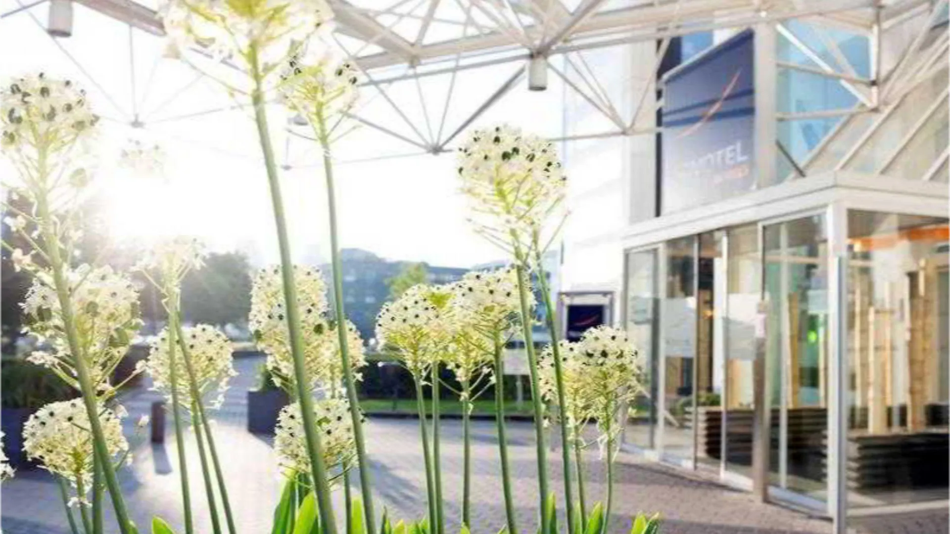 Hotel Novotel Rotterdam Brainpark